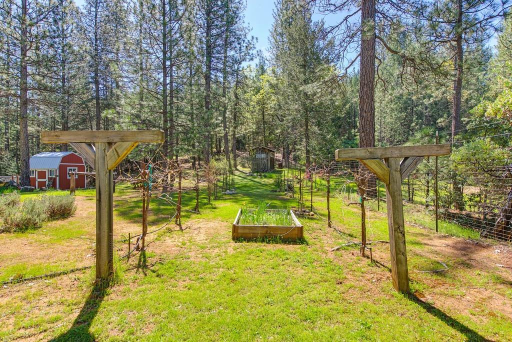 Detail Gallery Image 6 of 91 For 4001 Knobcone Ln, Placerville,  CA 95667 - 3 Beds | 2/1 Baths