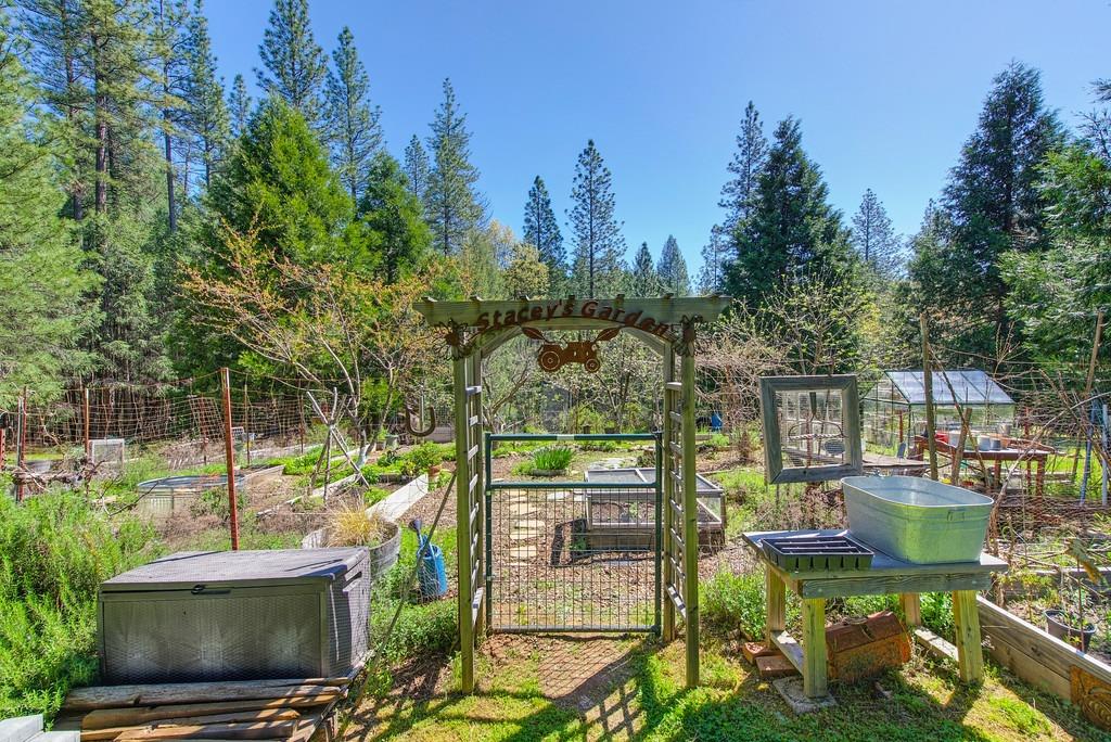 Detail Gallery Image 82 of 91 For 4001 Knobcone Ln, Placerville,  CA 95667 - 3 Beds | 2/1 Baths