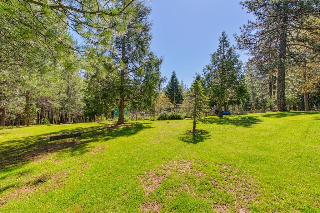 Detail Gallery Image 89 of 91 For 4001 Knobcone Ln, Placerville,  CA 95667 - 3 Beds | 2/1 Baths