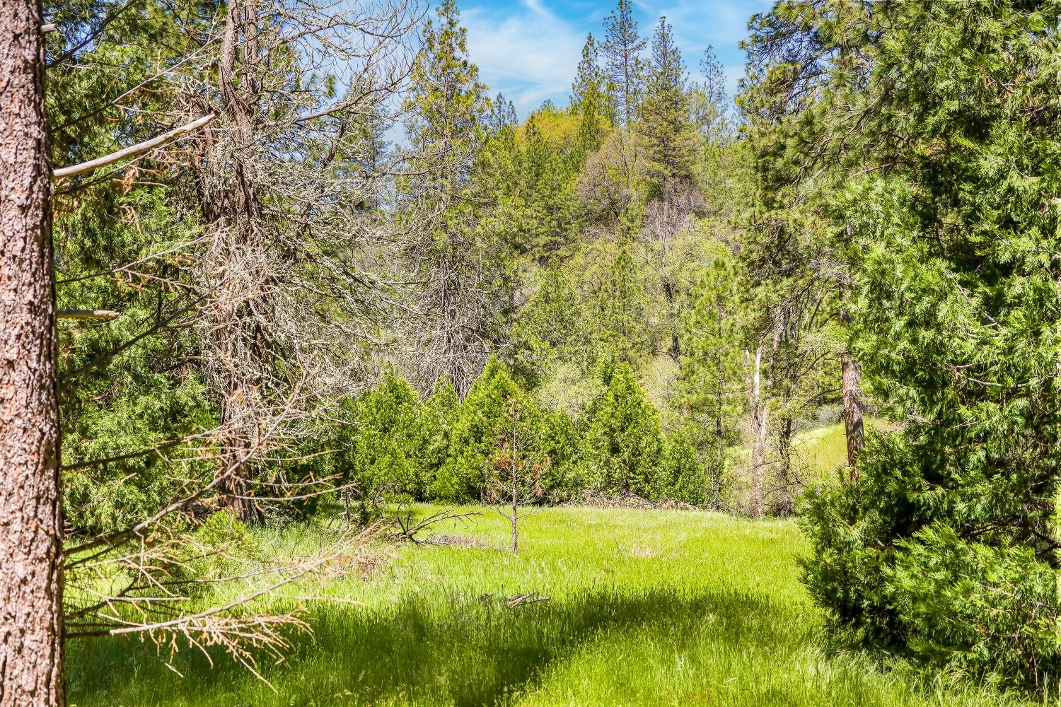 Detail Gallery Image 38 of 63 For 7744 Swiss Ranch Rd, Mountain Ranch,  CA 95246 - 1 Beds | 1 Baths