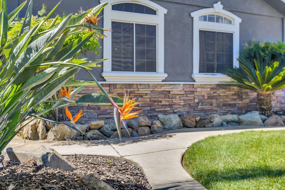 Detail Gallery Image 8 of 55 For 430 N St, Rio Linda,  CA 95673 - 4 Beds | 3/1 Baths