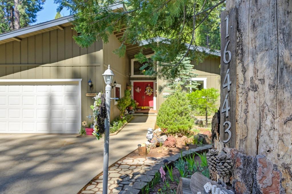 Detail Gallery Image 1 of 83 For 16443 Meadow Vista Dr, Pioneer,  CA 95666 - 3 Beds | 2 Baths
