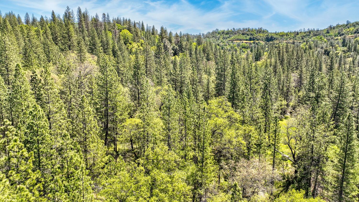 Swiss Ranch Road, Mountain Ranch, California image 50