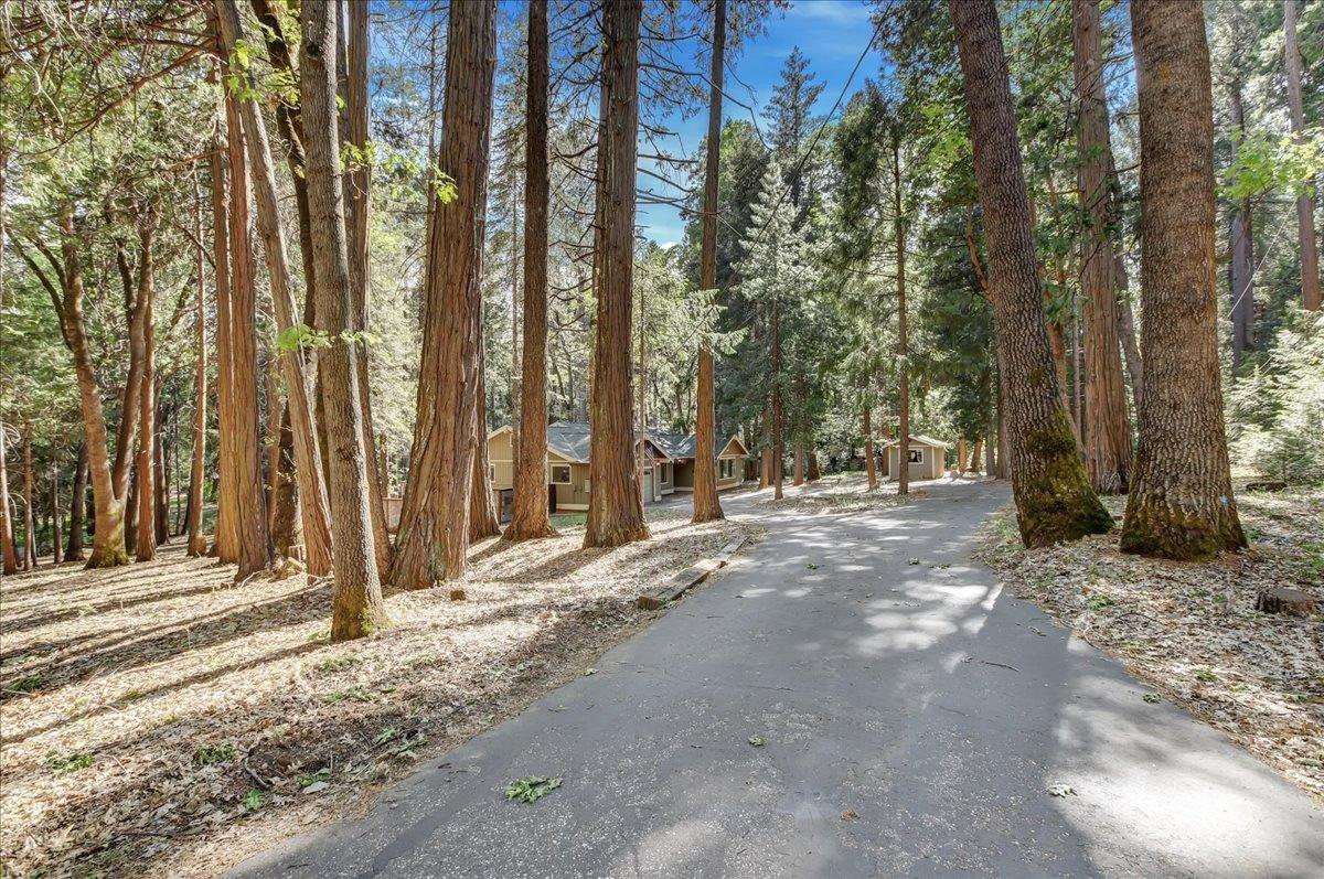 Detail Gallery Image 97 of 99 For 12392 Hillcrest Dr, Nevada City,  CA 95959 - 4 Beds | 2/1 Baths