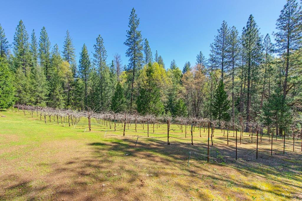 Detail Gallery Image 71 of 91 For 4001 Knobcone Ln, Placerville,  CA 95667 - 3 Beds | 2/1 Baths
