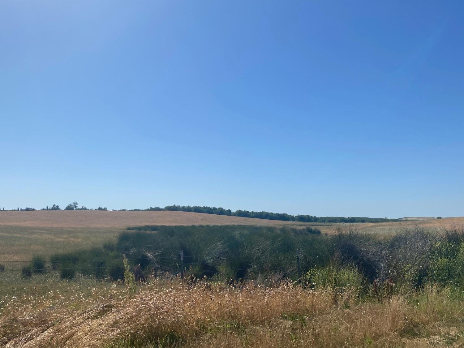 Fields, Snelling, California image 5