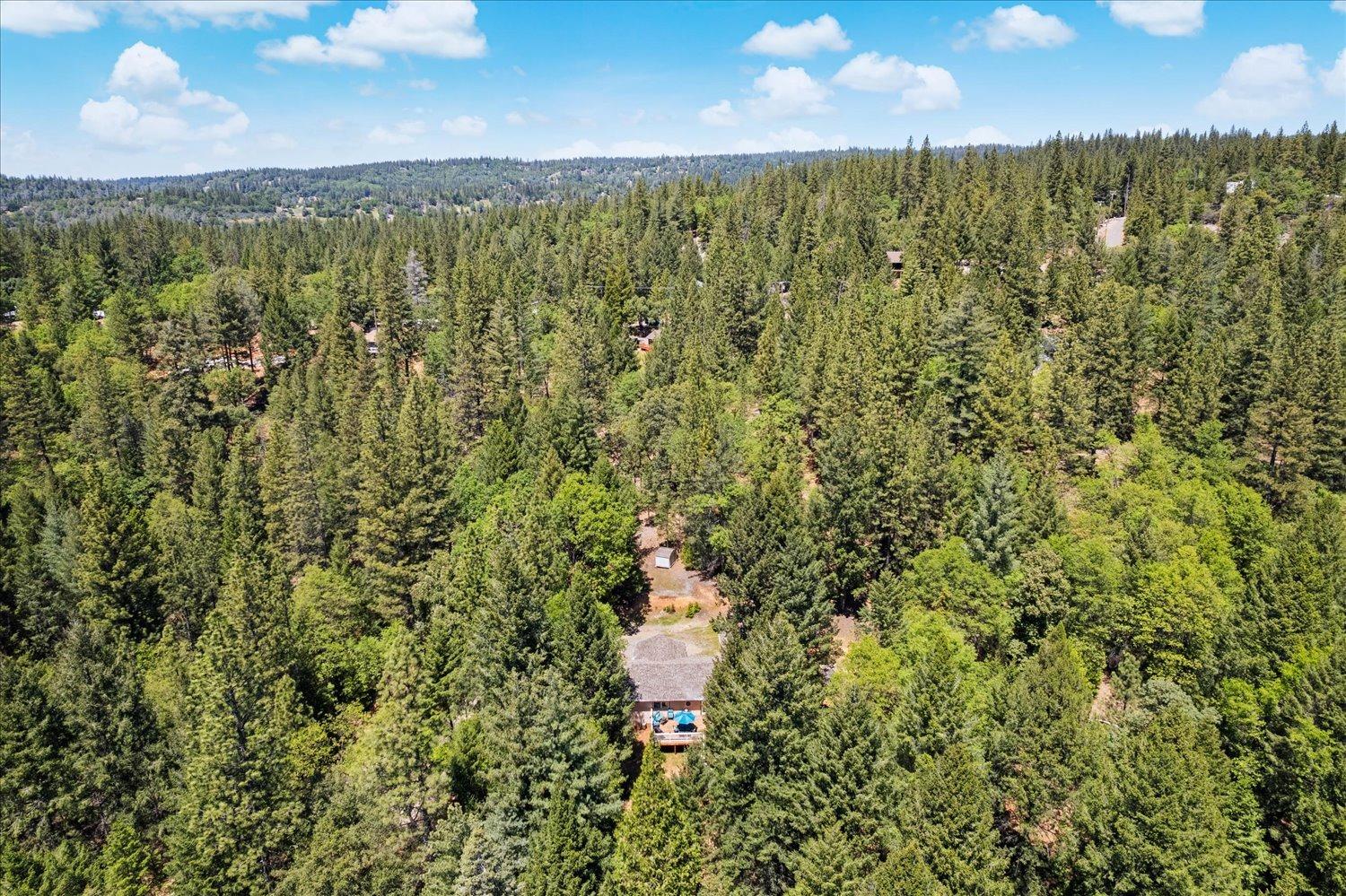 Detail Gallery Image 92 of 99 For 6574 Red Robin Rd, Placerville,  CA 95667 - 3 Beds | 3 Baths