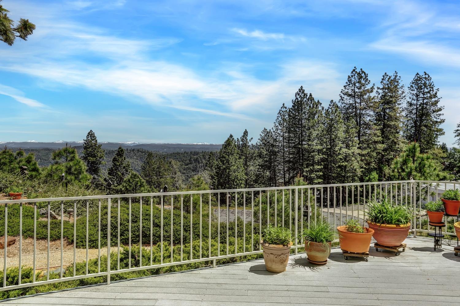 Detail Gallery Image 50 of 99 For 17436 Airport Ave, Grass Valley,  CA 95949 - 3 Beds | 3/1 Baths