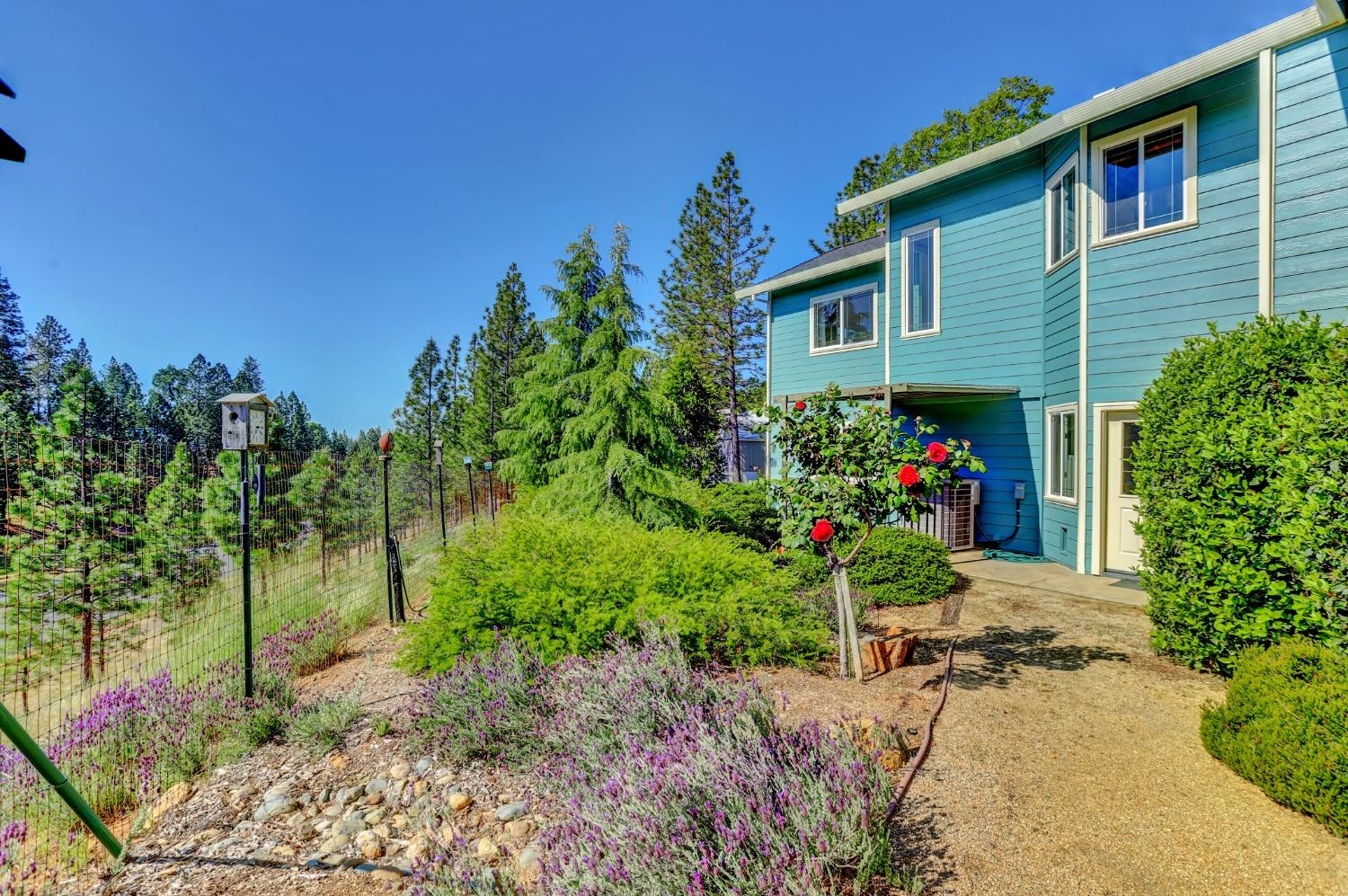 Detail Gallery Image 70 of 99 For 17436 Airport Ave, Grass Valley,  CA 95949 - 3 Beds | 3/1 Baths