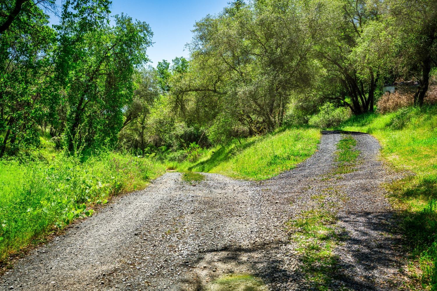 Ascension Ln Lane, Pilot Hill, California image 20