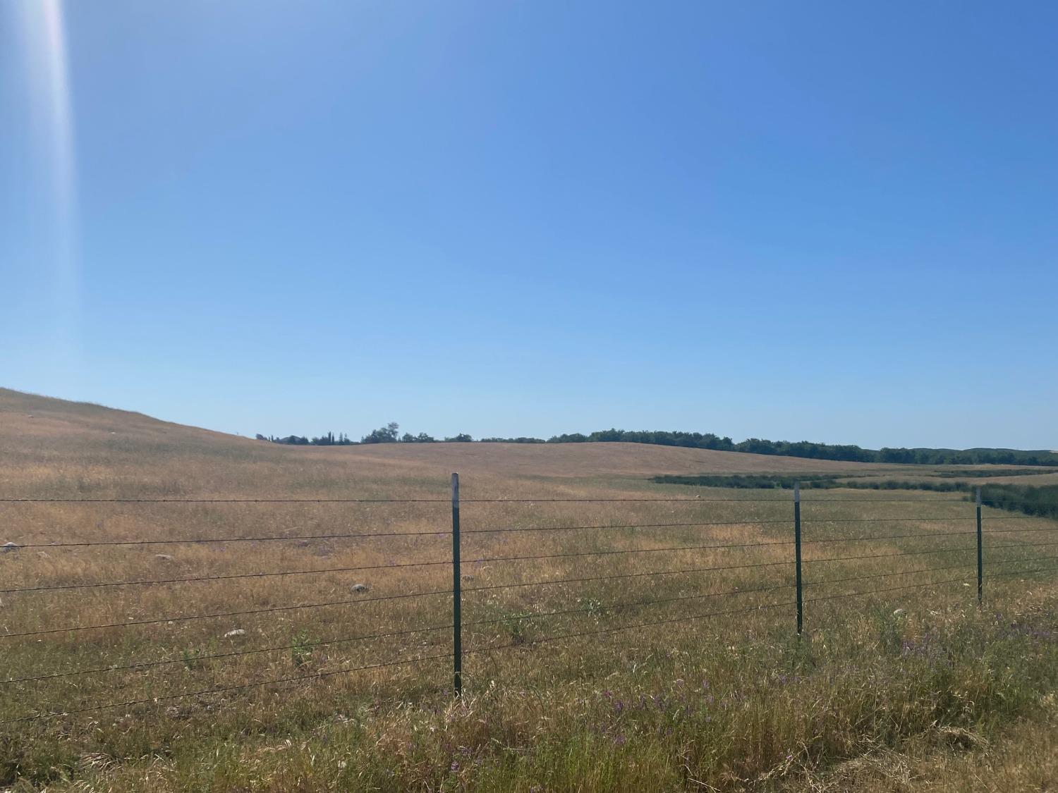 Fields, Snelling, California image 3