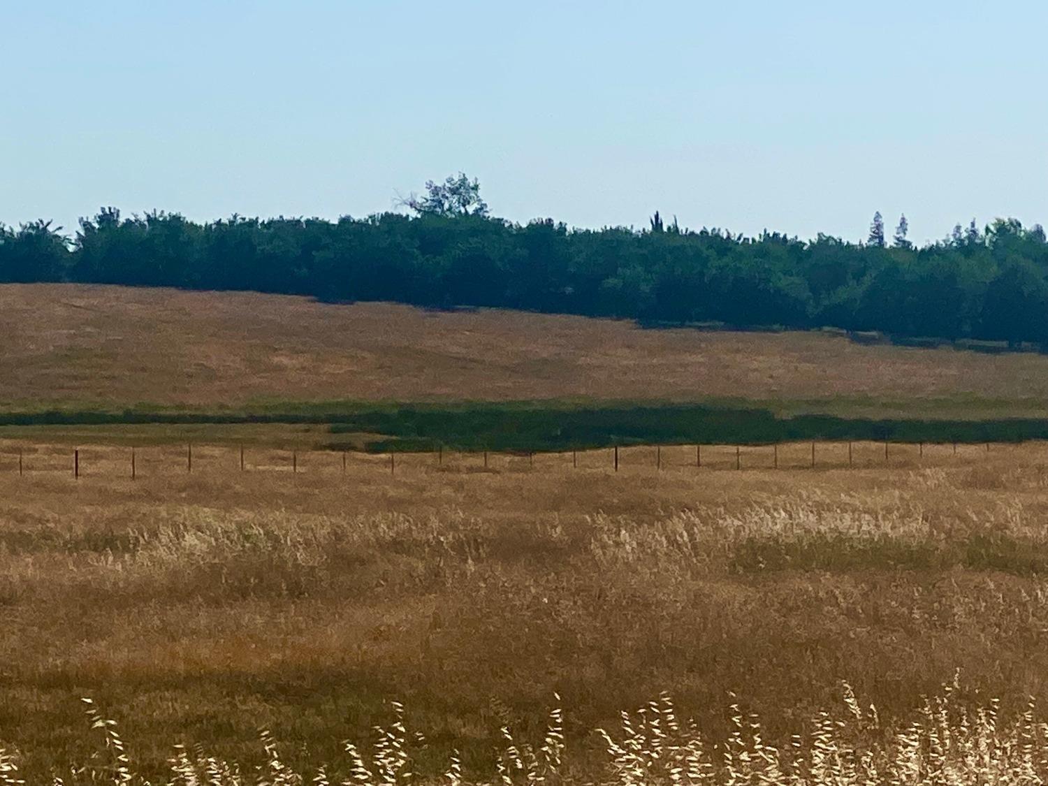 Fields, Snelling, California image 7