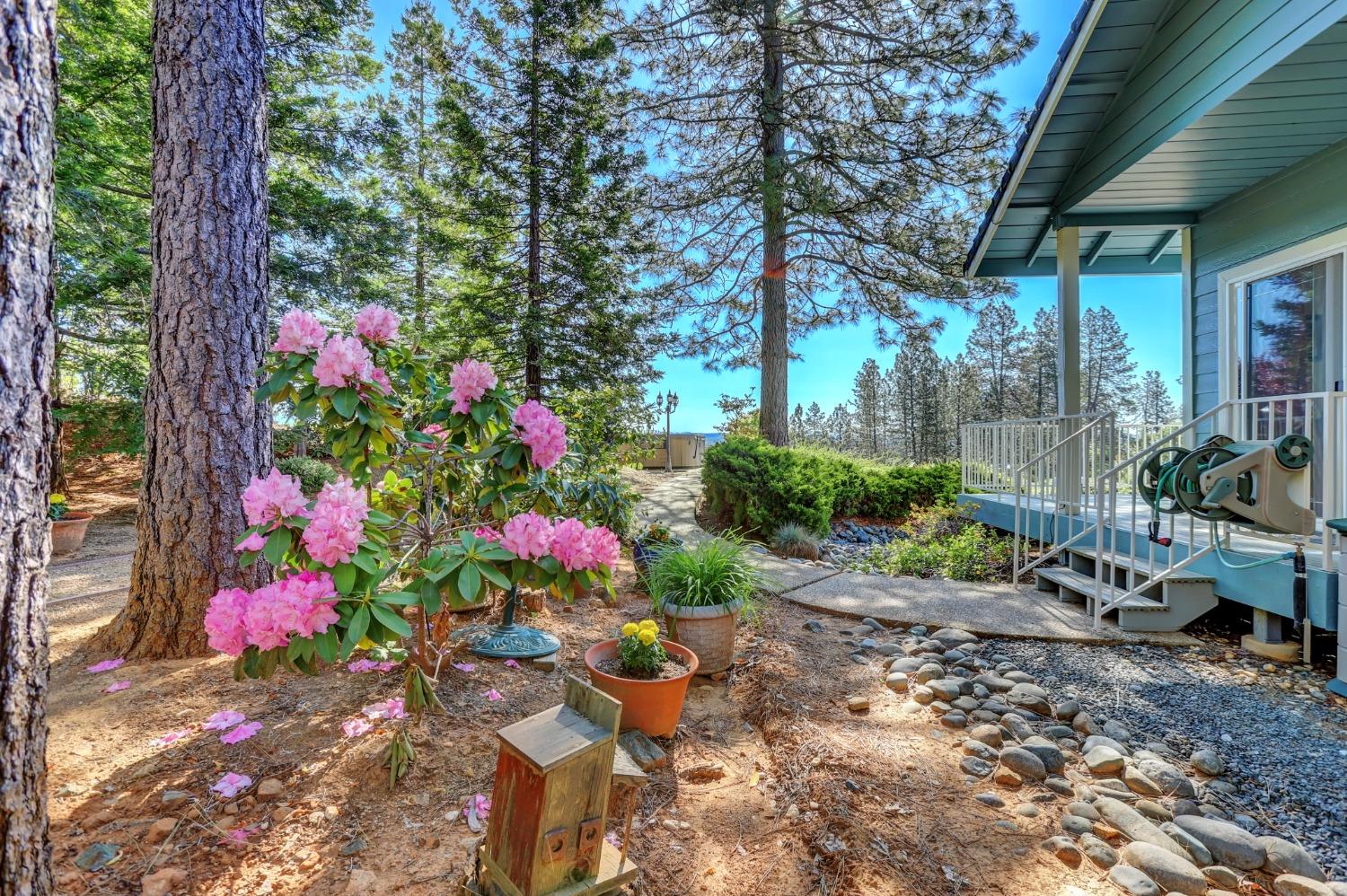 Detail Gallery Image 68 of 99 For 17436 Airport Ave, Grass Valley,  CA 95949 - 3 Beds | 3/1 Baths