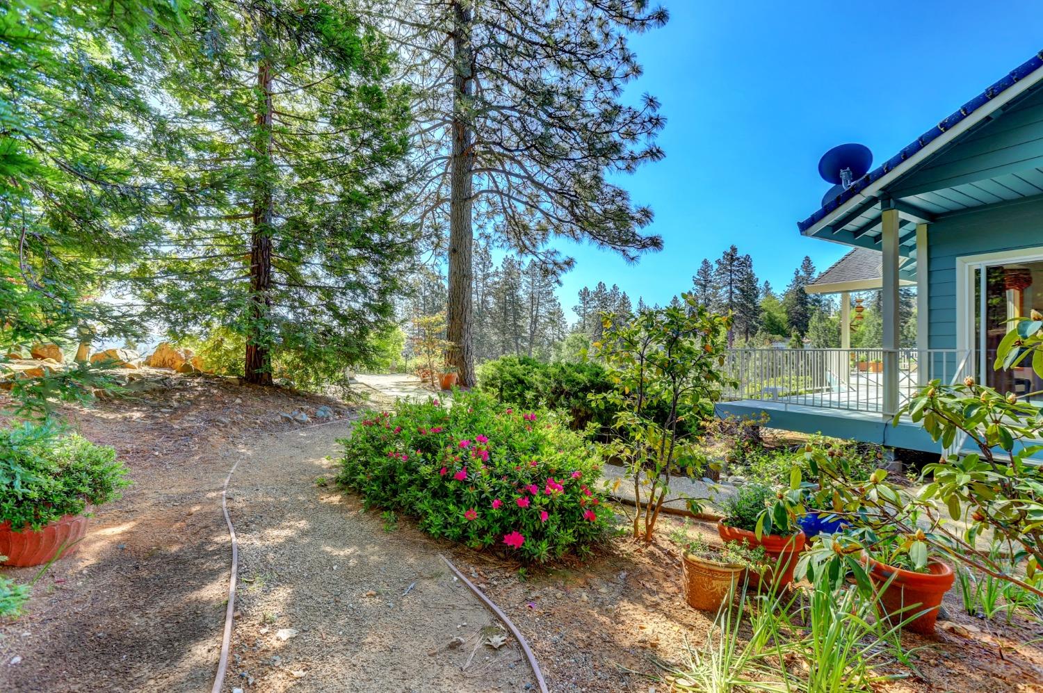 Detail Gallery Image 69 of 99 For 17436 Airport Ave, Grass Valley,  CA 95949 - 3 Beds | 3/1 Baths