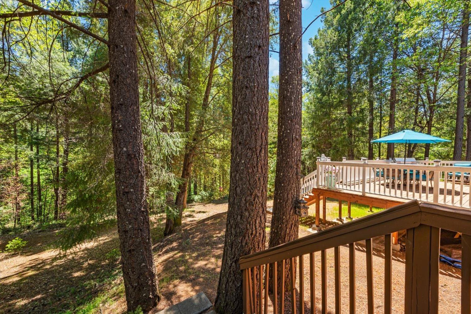 Detail Gallery Image 76 of 99 For 6574 Red Robin Rd, Placerville,  CA 95667 - 3 Beds | 3 Baths