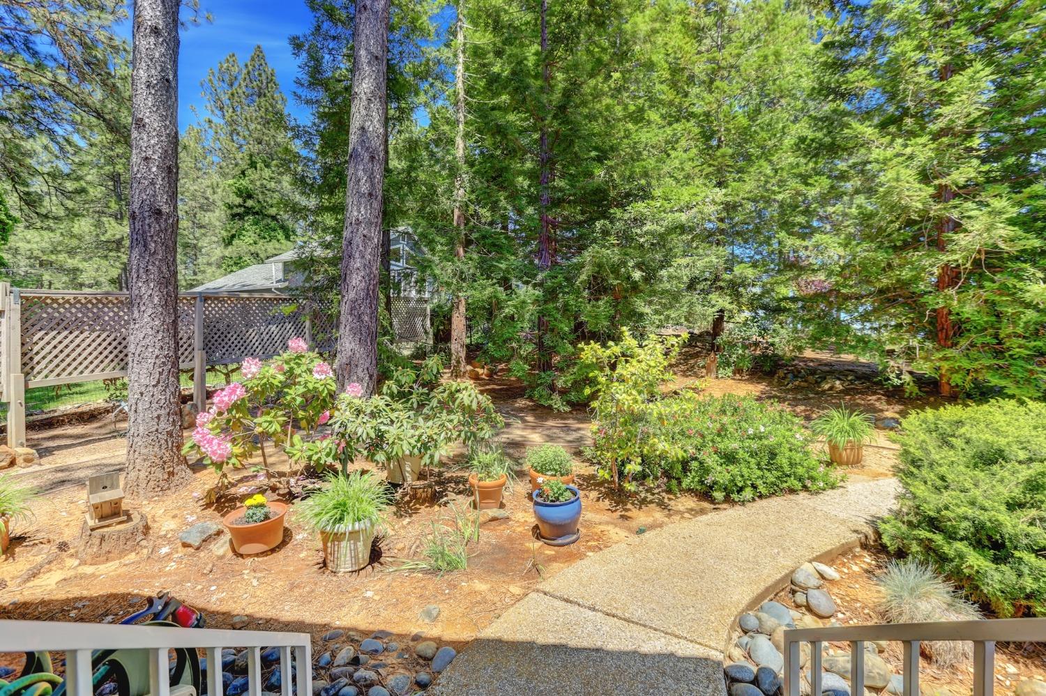 Detail Gallery Image 52 of 99 For 17436 Airport Ave, Grass Valley,  CA 95949 - 3 Beds | 3/1 Baths