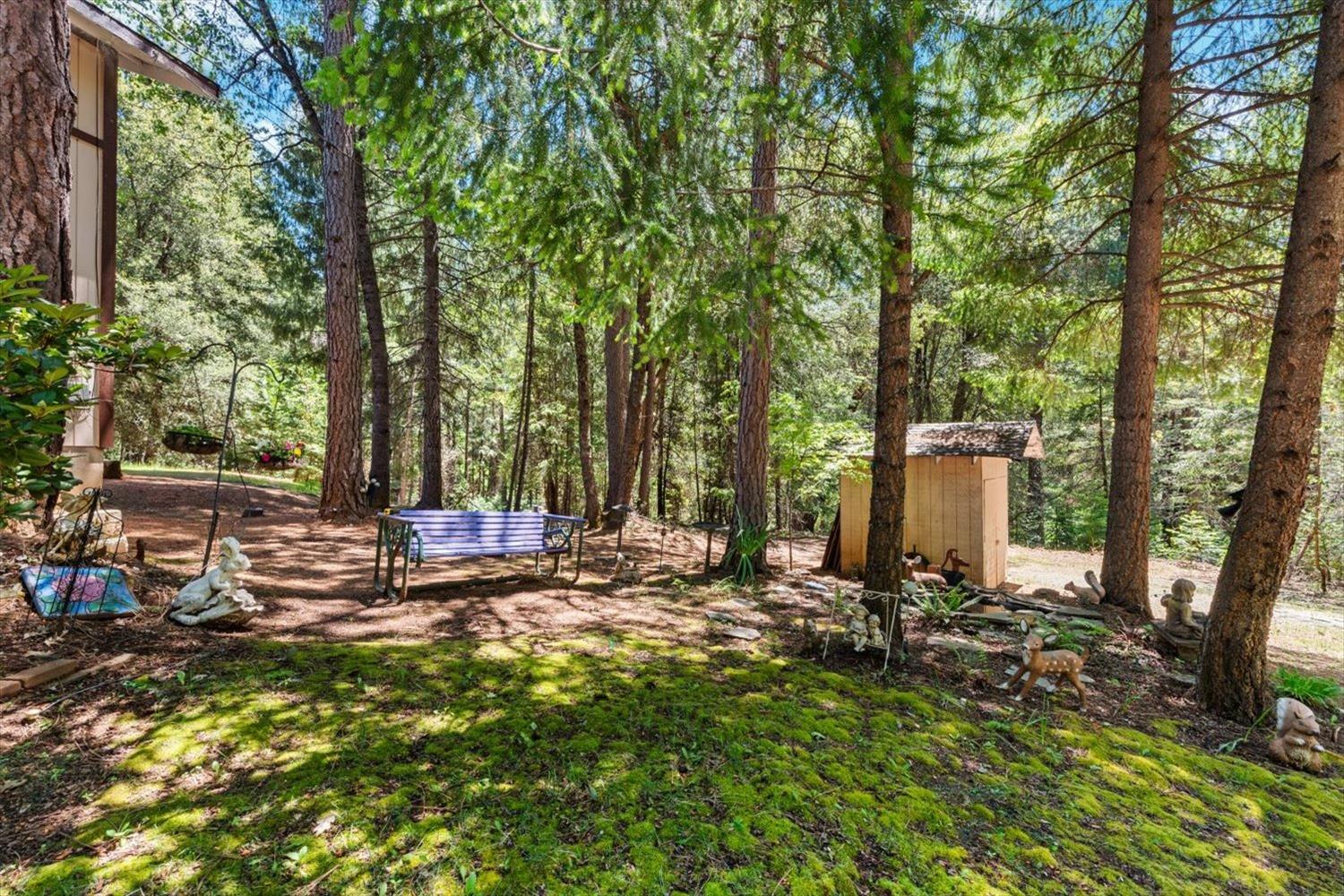 Detail Gallery Image 91 of 99 For 6574 Red Robin Rd, Placerville,  CA 95667 - 3 Beds | 3 Baths