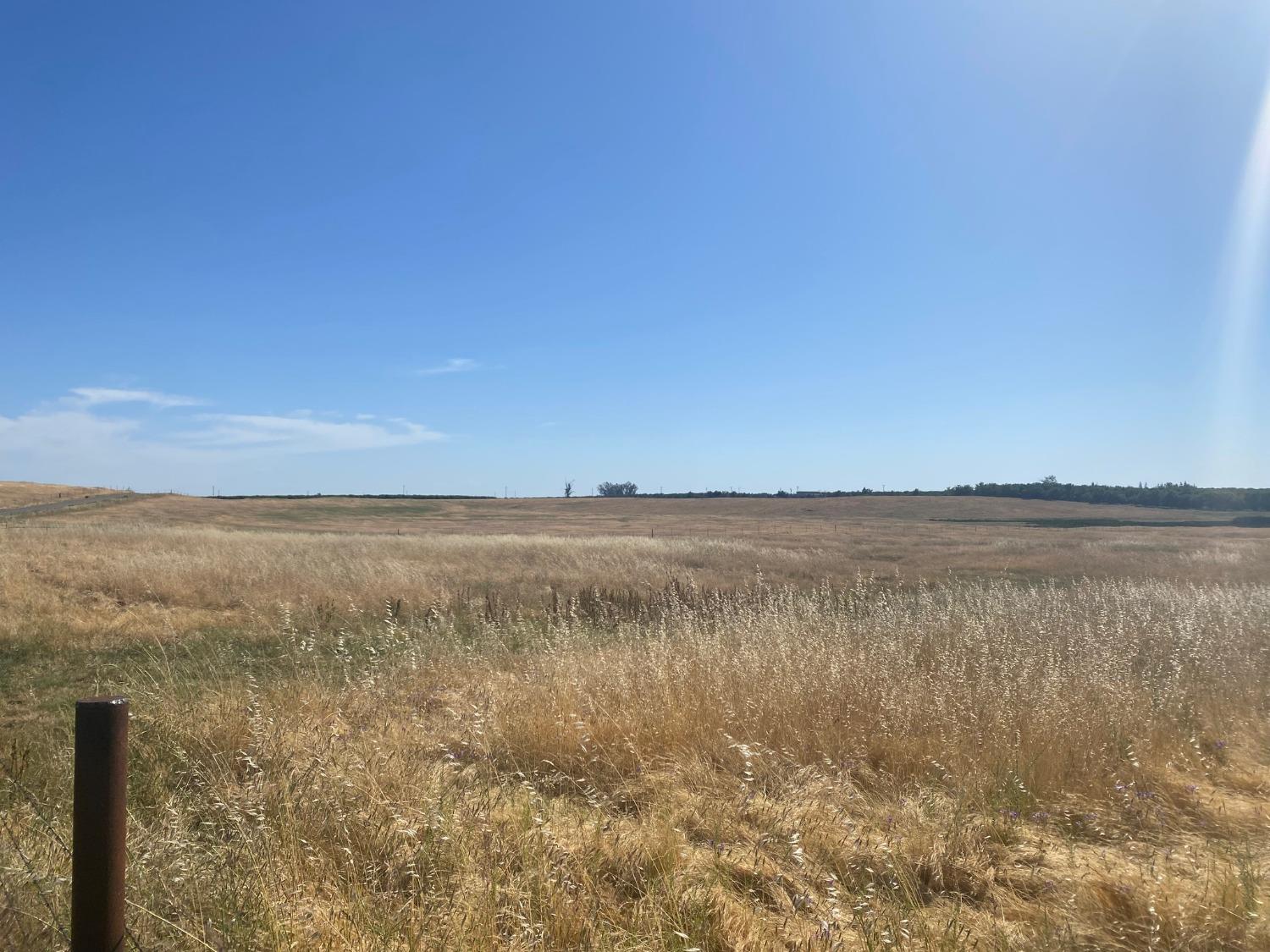 Fields, Snelling, California image 1