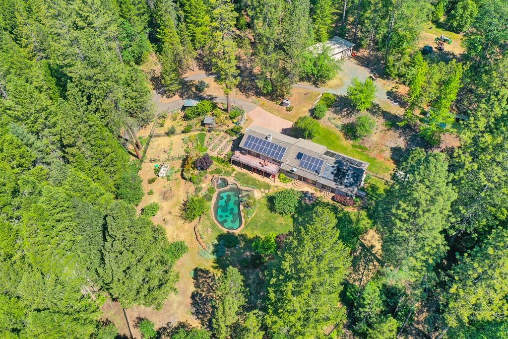 Detail Gallery Image 90 of 93 For 2223 Jim Valley Rd, Placerville,  CA 95667 - 5 Beds | 3 Baths