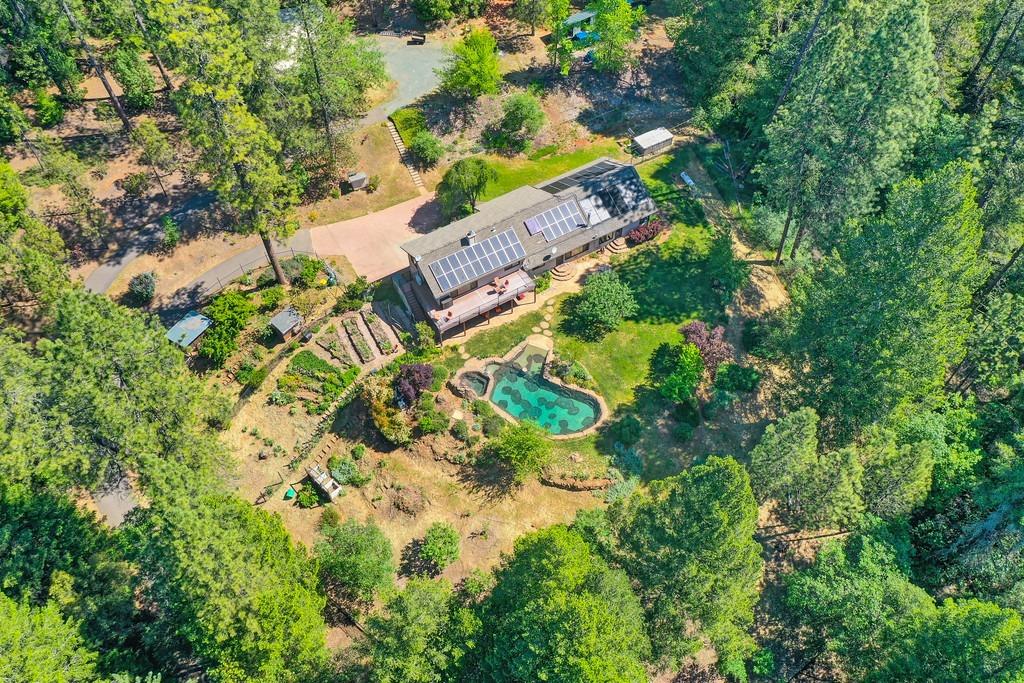 Detail Gallery Image 87 of 93 For 2223 Jim Valley Rd, Placerville,  CA 95667 - 5 Beds | 3 Baths