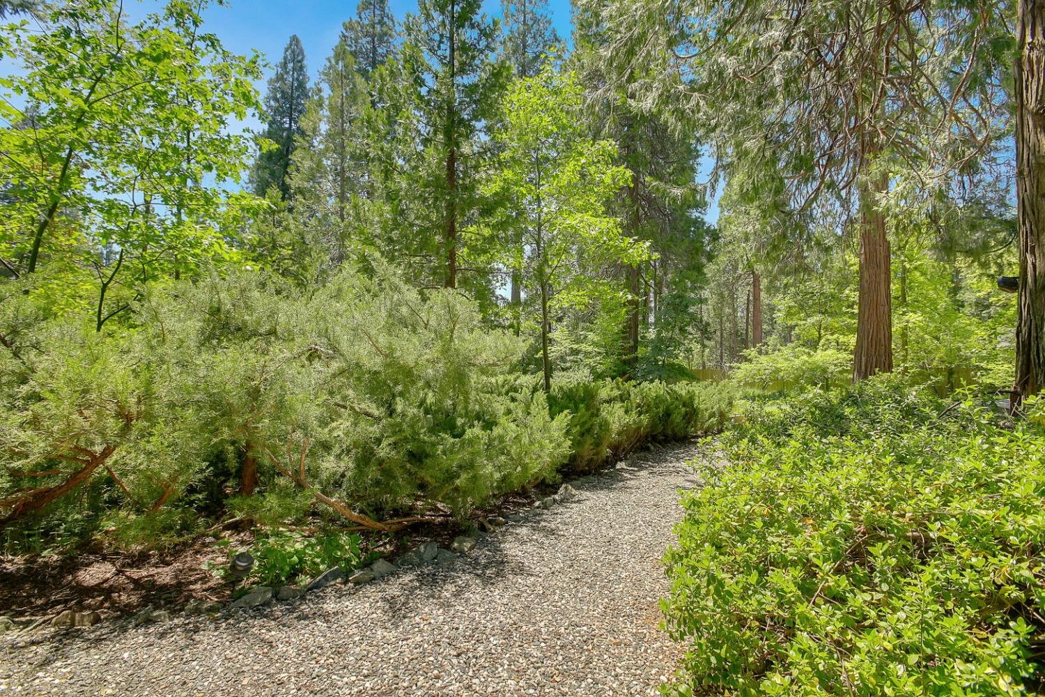 Detail Gallery Image 56 of 92 For 14189 Meadow Dr, Grass Valley,  CA 95945 - 3 Beds | 2 Baths