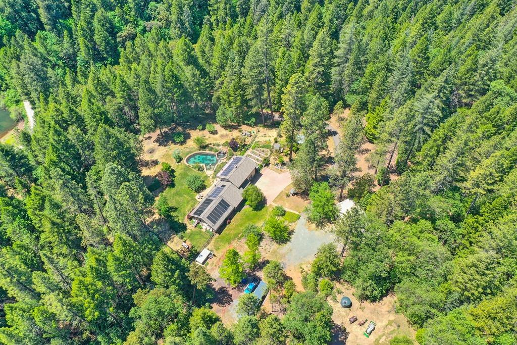 Detail Gallery Image 91 of 93 For 2223 Jim Valley Rd, Placerville,  CA 95667 - 5 Beds | 3 Baths