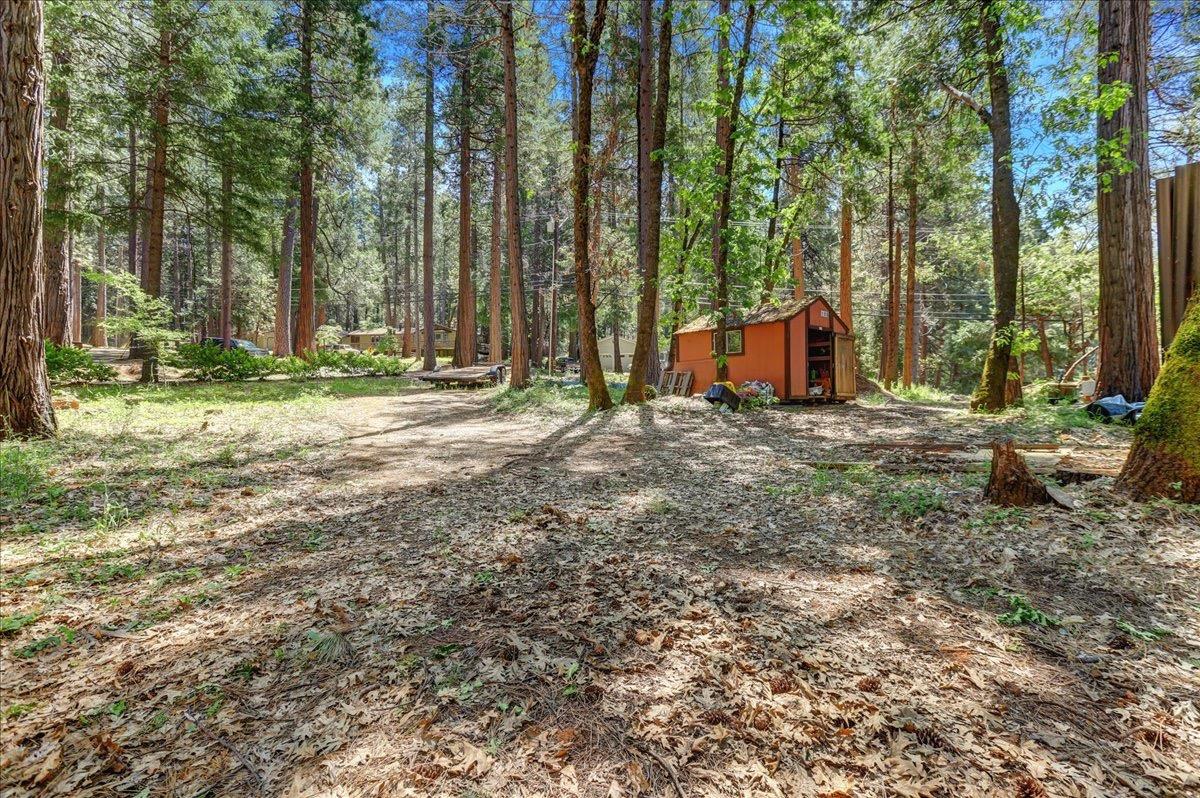 Detail Gallery Image 40 of 57 For 11299 Murchie Mine Rd, Nevada City,  CA 95959 - 3 Beds | 2 Baths