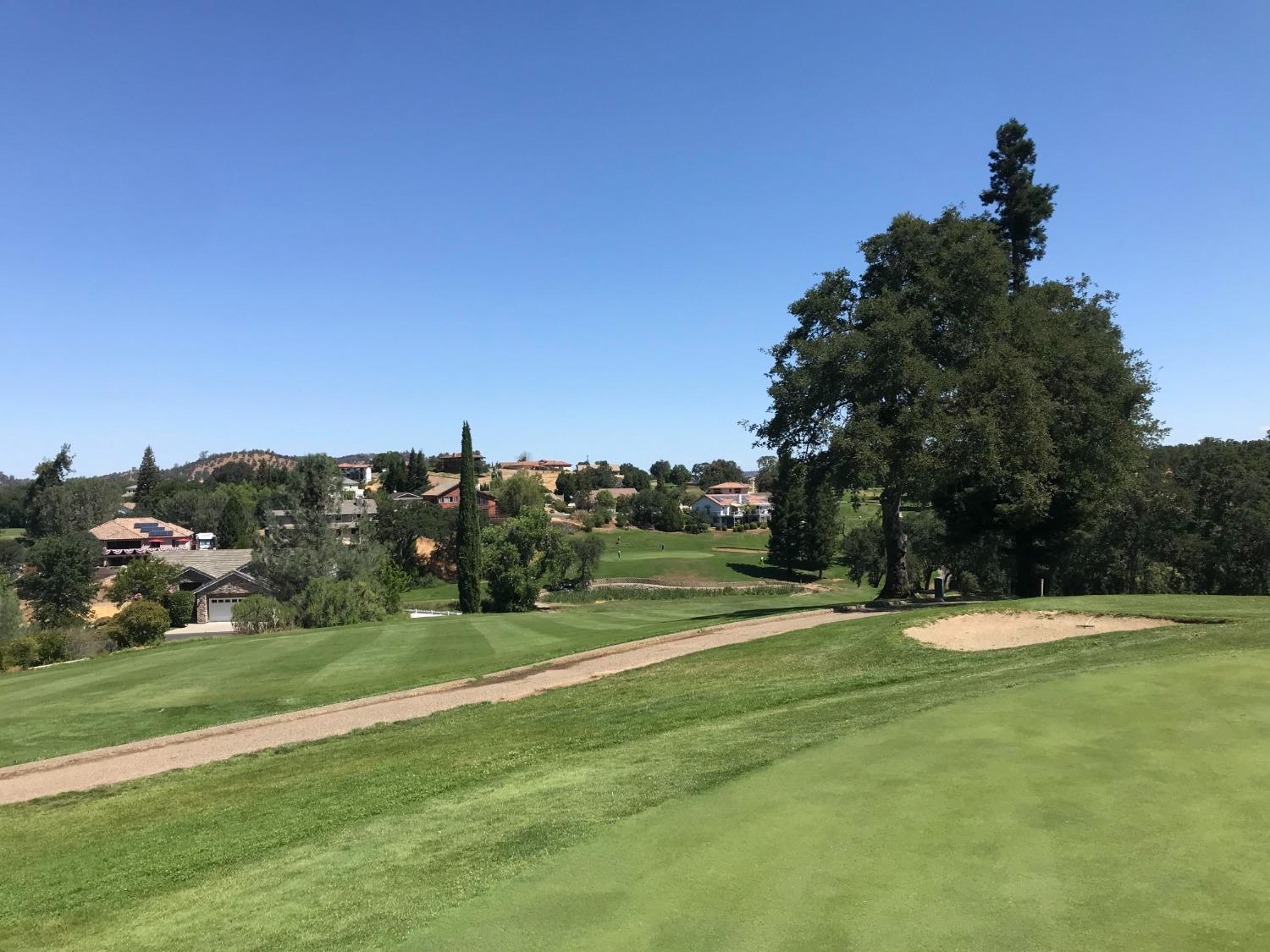 Old Course Court, Valley Springs, California image 10