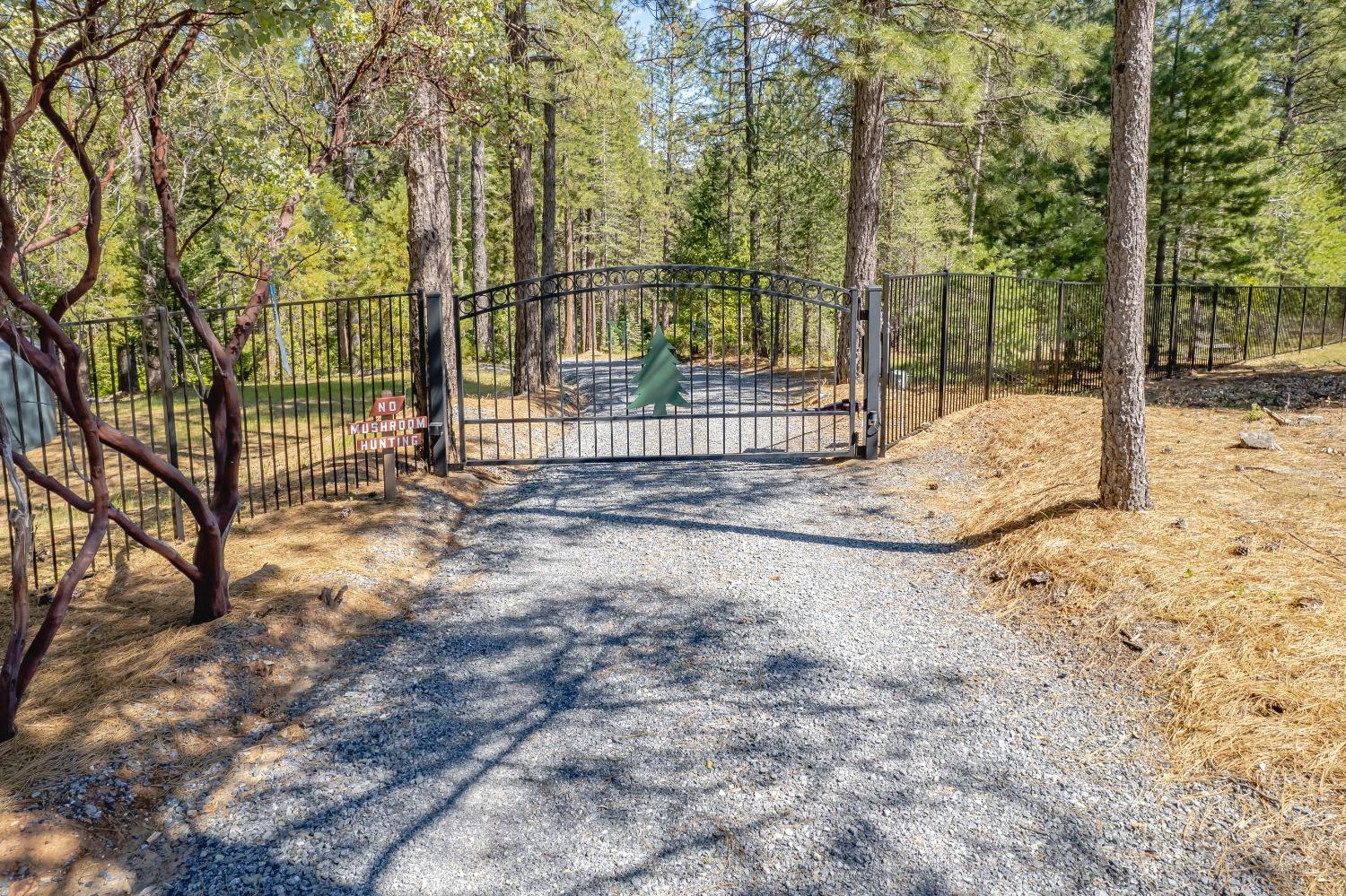 Detail Gallery Image 2 of 99 For 5860 Shoo Fly Rd, Placerville,  CA 95667 - 2 Beds | 2 Baths