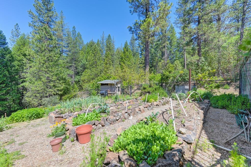 Detail Gallery Image 61 of 93 For 2223 Jim Valley Rd, Placerville,  CA 95667 - 5 Beds | 3 Baths
