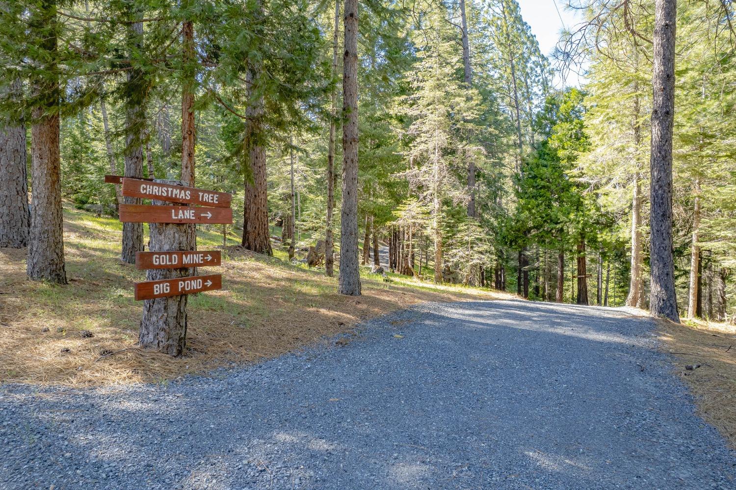 Detail Gallery Image 95 of 99 For 5860 Shoo Fly Rd, Placerville,  CA 95667 - 2 Beds | 2 Baths