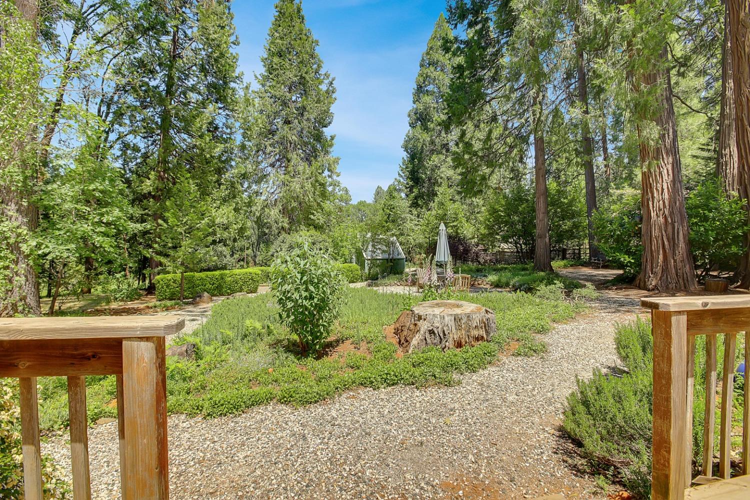 Detail Gallery Image 44 of 92 For 14189 Meadow Dr, Grass Valley,  CA 95945 - 3 Beds | 2 Baths