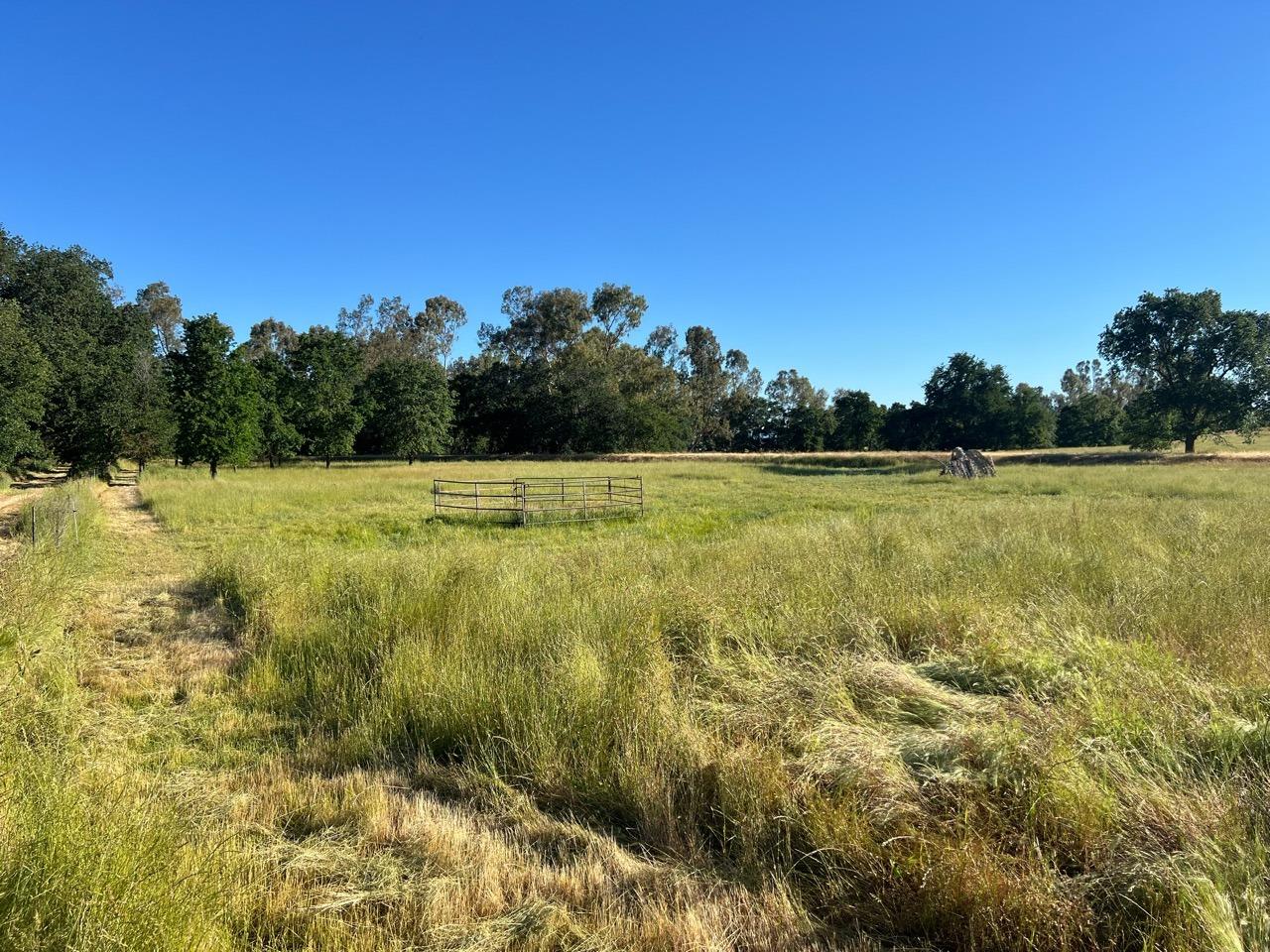 Spenceville Road, Wheatland, California image 37