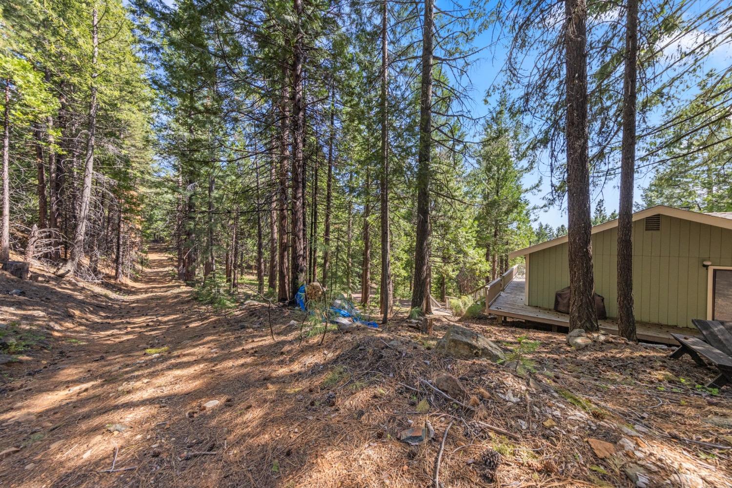 Detail Gallery Image 19 of 23 For 6885 Almanor Lake Estates Dr, Lake Almanor,  CA 96137 - 3 Beds | 2 Baths
