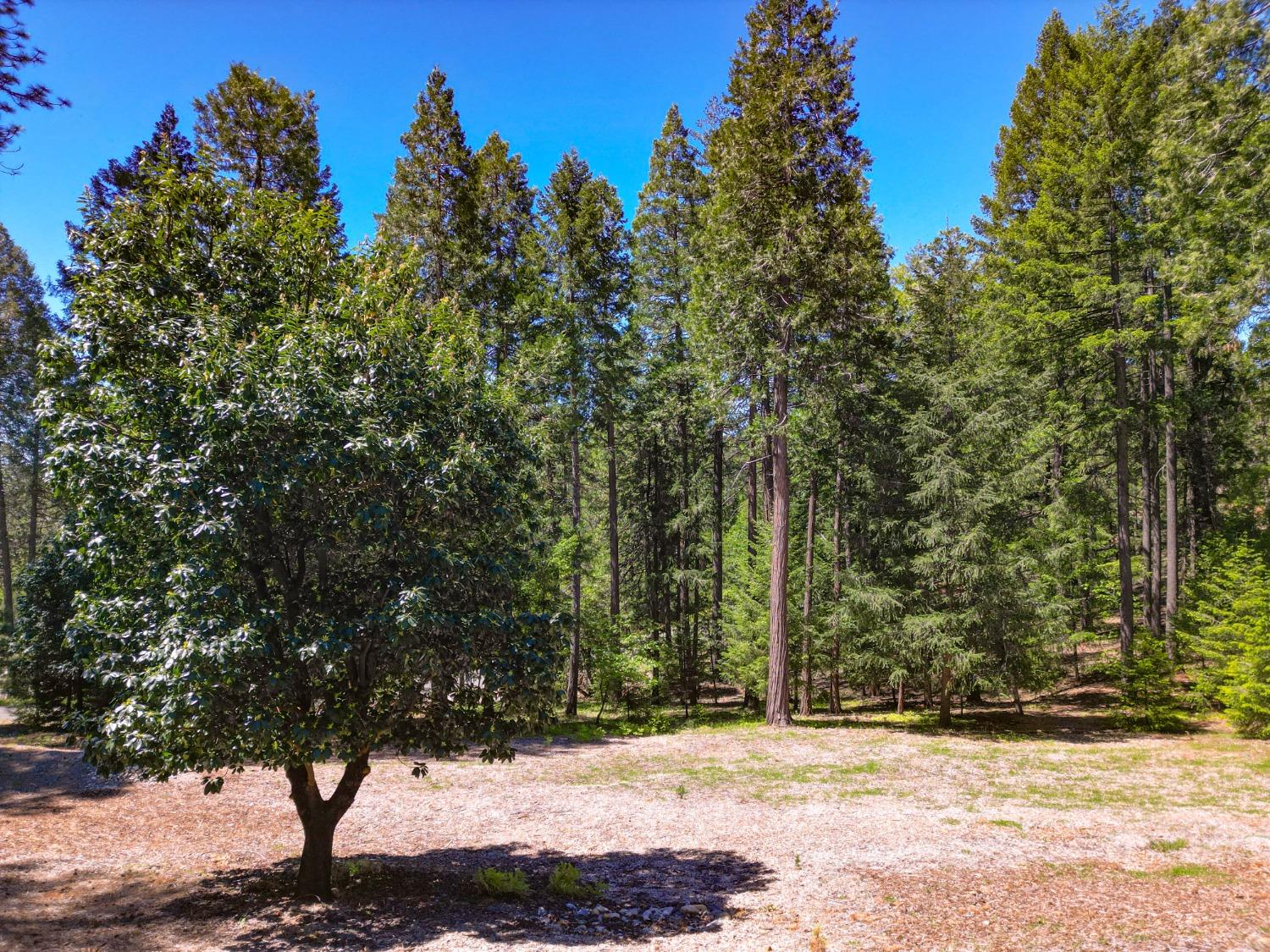 Detail Gallery Image 67 of 99 For 13878 Gemini Ct, Nevada City,  CA 95959 - 4 Beds | 2/1 Baths