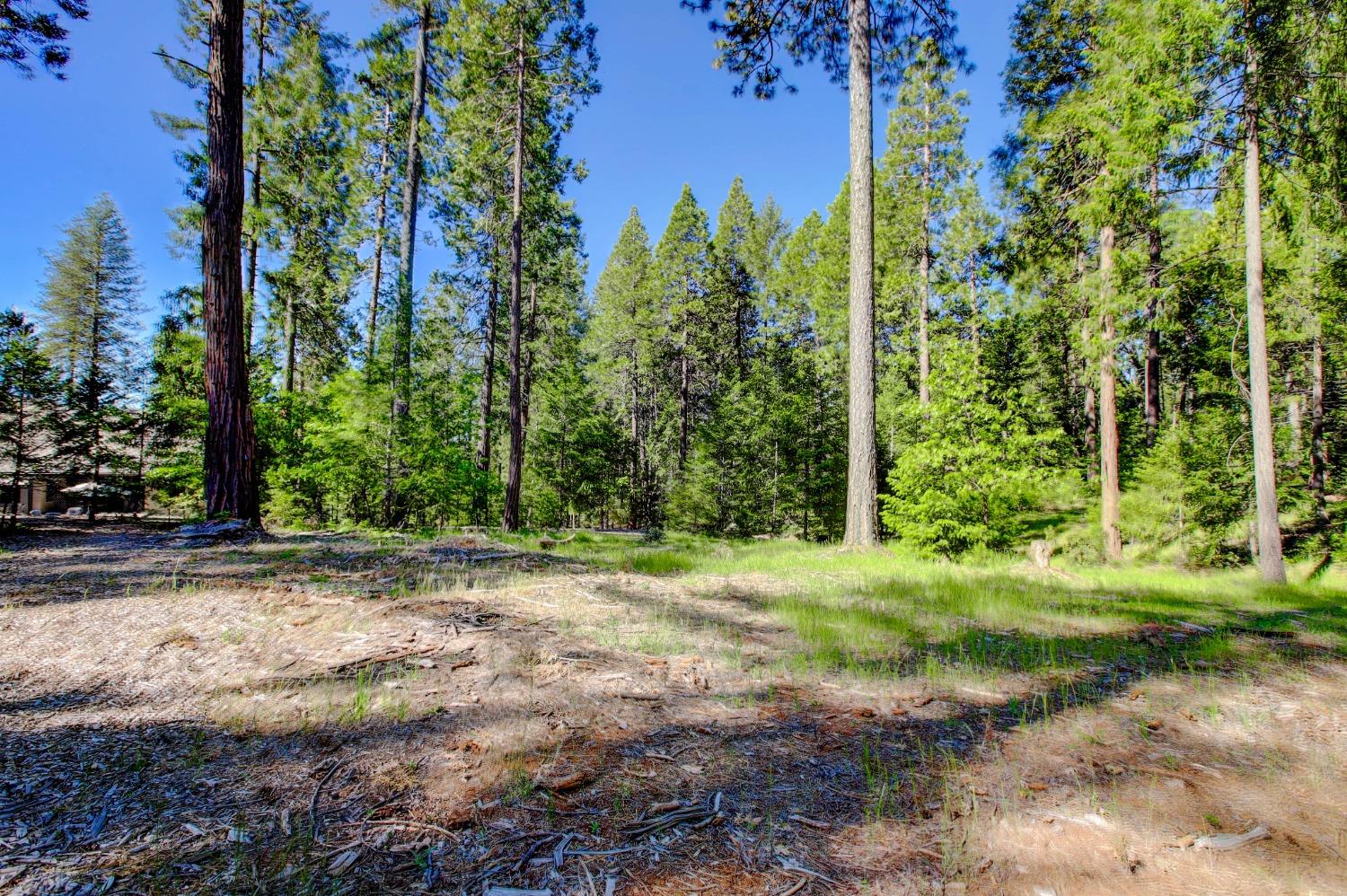 Detail Gallery Image 90 of 99 For 13878 Gemini Ct, Nevada City,  CA 95959 - 4 Beds | 2/1 Baths
