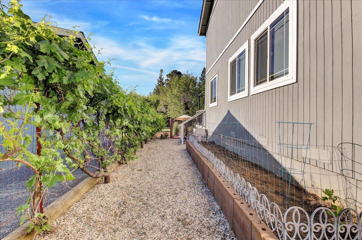 Detail Gallery Image 59 of 80 For 10934 Woodchuck Ct, Penn Valley,  CA 95946 - 3 Beds | 2/1 Baths