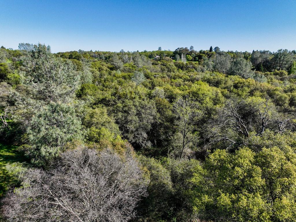Joeger Road, Auburn, California image 25