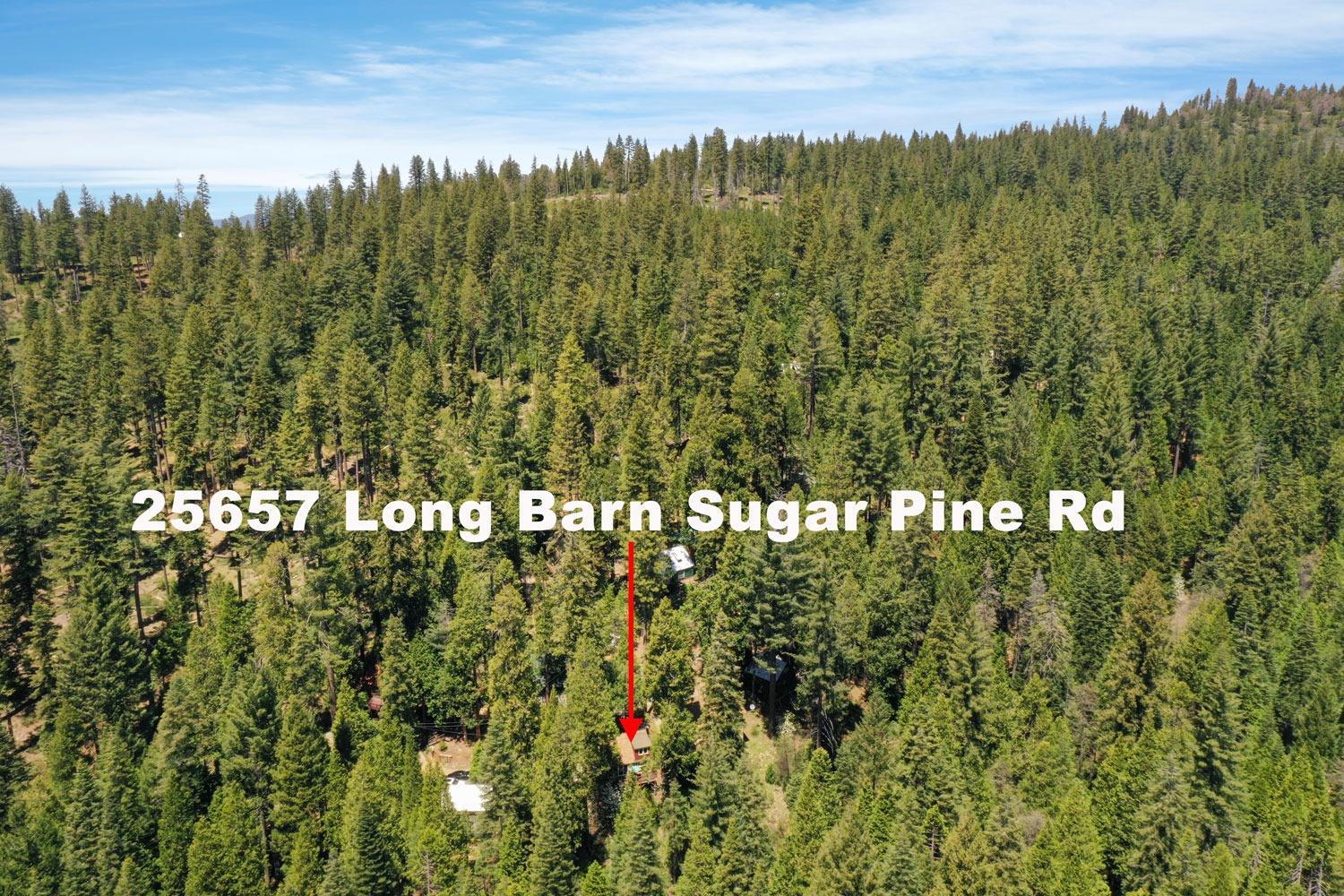 Long Barn Sugar Pine Road, Long Barn, California image 43