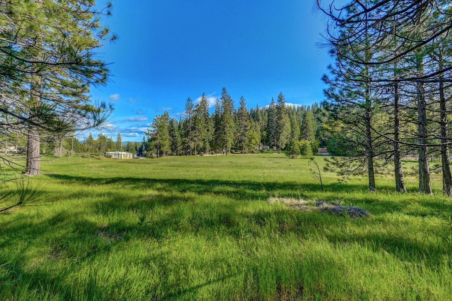 Avery Sheep Ranch Road, Avery, California image 2