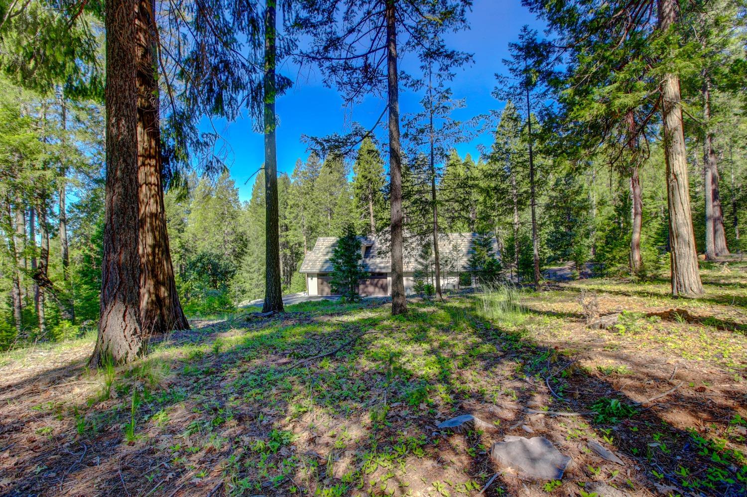Detail Gallery Image 89 of 99 For 13878 Gemini Ct, Nevada City,  CA 95959 - 4 Beds | 2/1 Baths