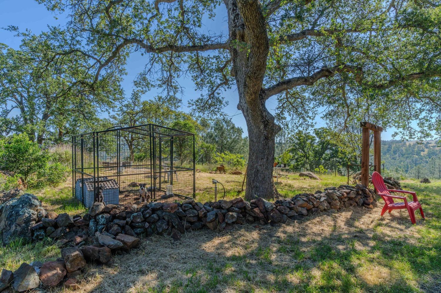Detail Gallery Image 6 of 86 For 8251 Buffalo Ridge Rd, Ione,  CA 95640 - 4 Beds | 3 Baths
