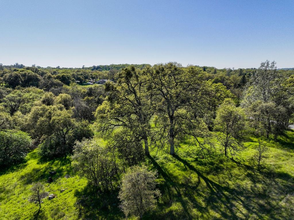 Joeger Road, Auburn, California image 22