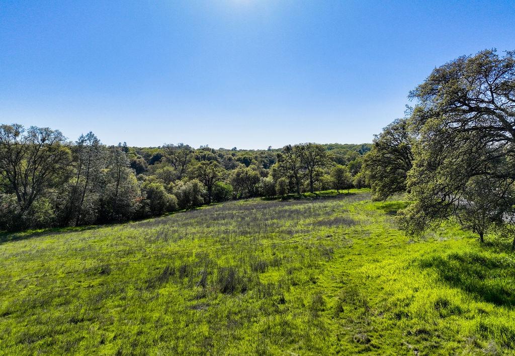 Joeger Road, Auburn, California image 19