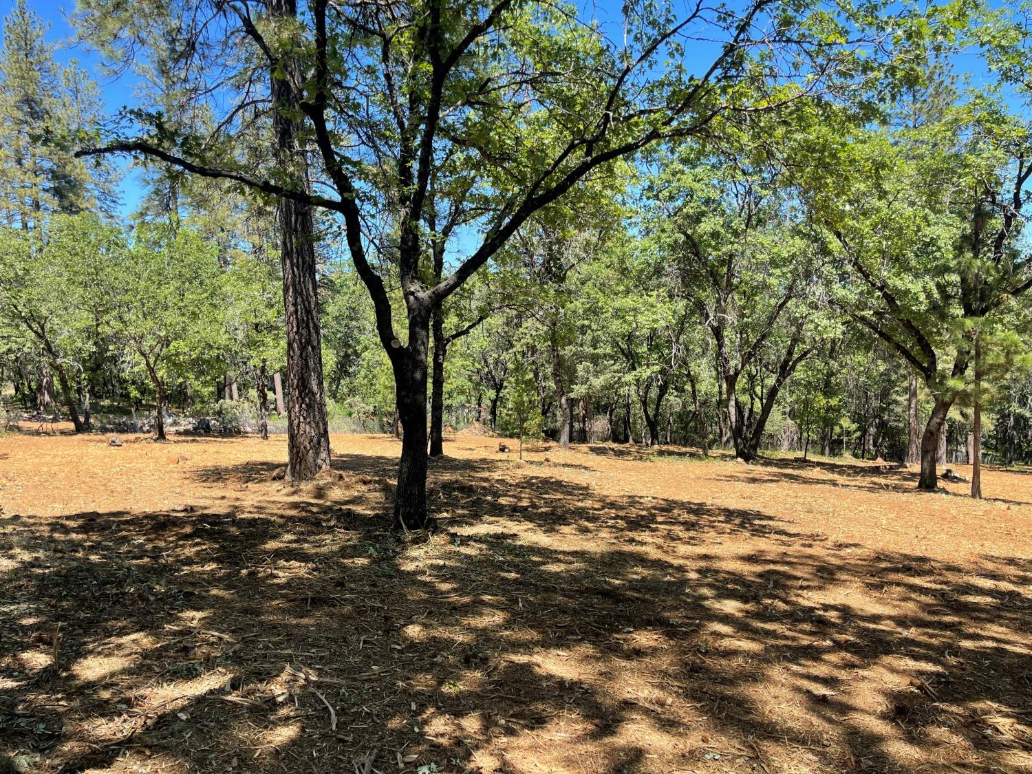 Detail Gallery Image 5 of 10 For 14184 Sweethaven Ct, Grass Valley,  CA 95949 - – Beds | – Baths