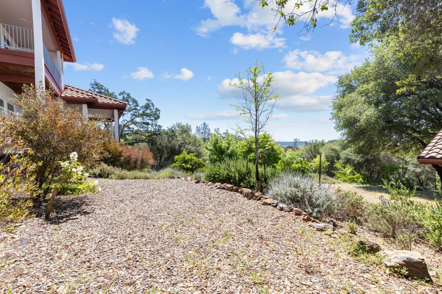 Detail Gallery Image 52 of 59 For 8650 Sandra Rd, Jackson,  CA 95642 - 3 Beds | 3/1 Baths