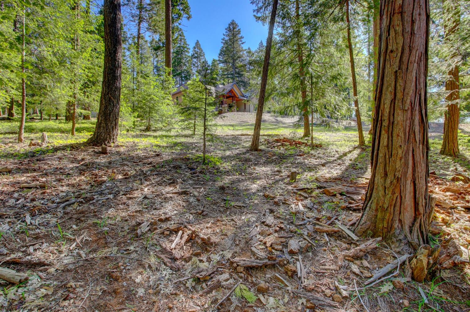 Detail Gallery Image 87 of 99 For 13878 Gemini Ct, Nevada City,  CA 95959 - 4 Beds | 2/1 Baths