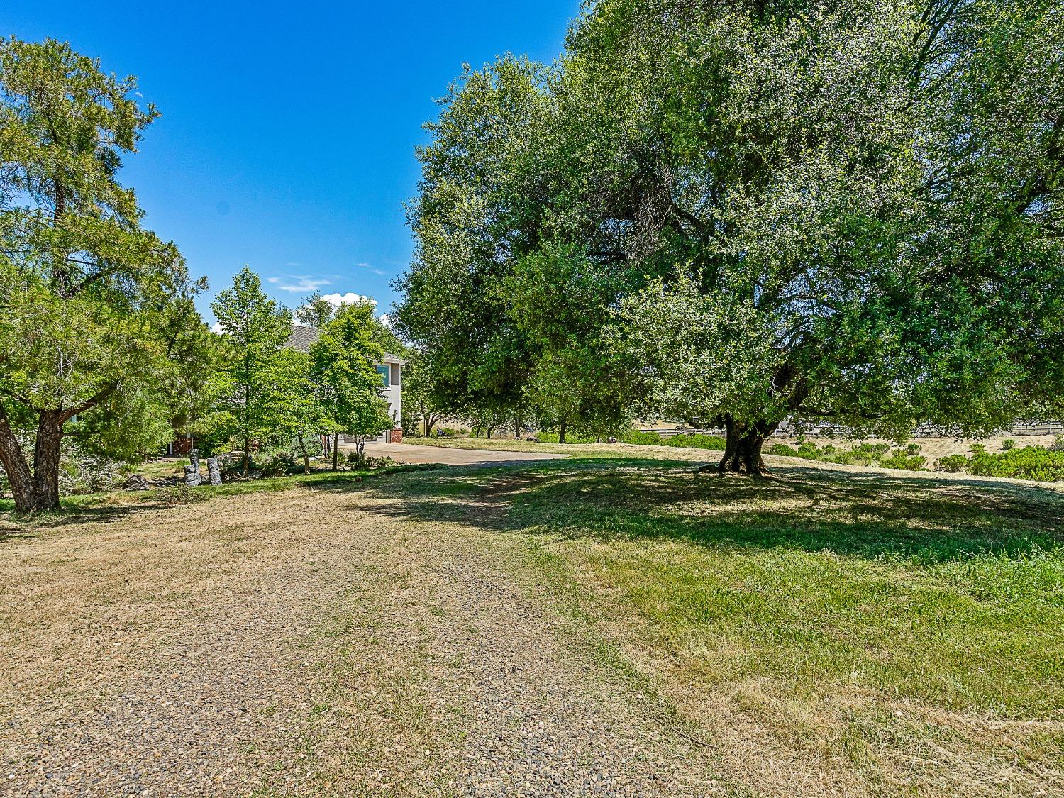 Neef Lane, Shingle Springs, California image 28