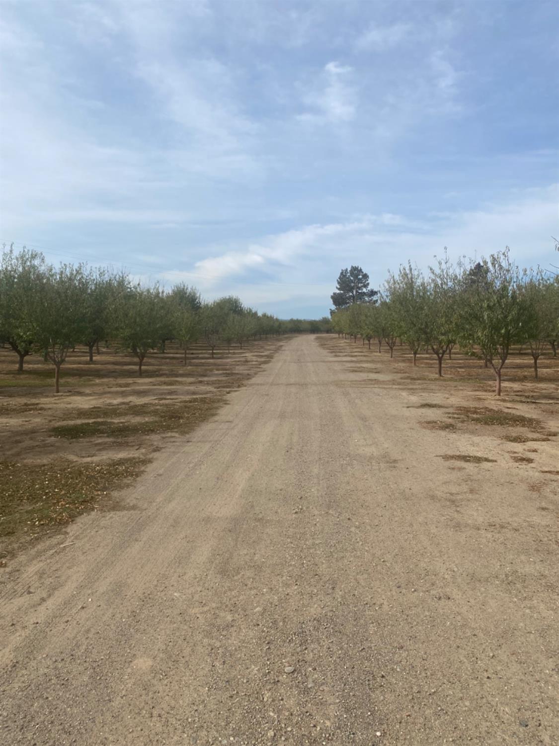 County Road 88, Dunnigan, California image 8