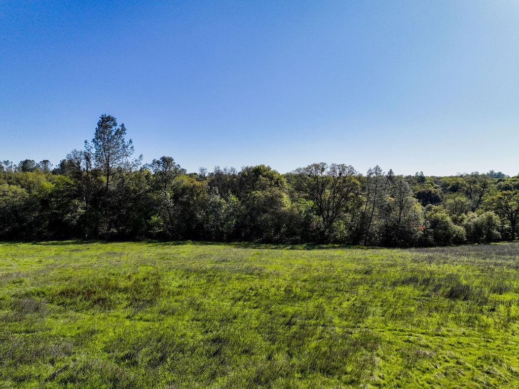 Joeger Road, Auburn, California image 18